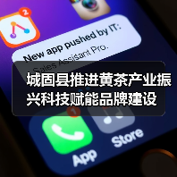 城固县推进黄茶产业振兴科技赋能品牌建设（图4）