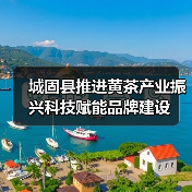 城固县推进黄茶产业振兴科技赋能品牌建设（图3）