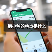 烟小种的特点是什么（图2）