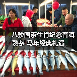 八骏国茶生肖纪念普洱熟茶 马年经典礼遇(图2) 八骏国茶生肖纪念普洱熟茶 马年经典礼遇(图2)
