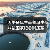 丙午马年生肖普洱生茶八骏国茶纪念紧压茶（图2）