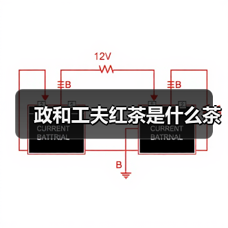 政和工夫红茶是什么茶（图2）
