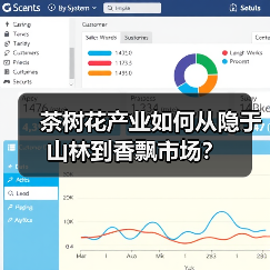 茶树花产业如何从隐于山林到香飘市场？（图1）