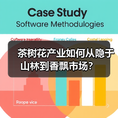 茶树花产业如何从隐于山林到香飘市场？（图4）