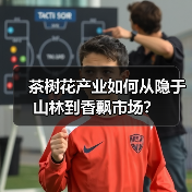 茶树花产业如何从隐于山林到香飘市场？（图2）