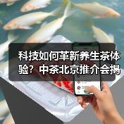 科技如何革新养生茶体验？中茶北京推介会揭晓健康新方向（图4）
