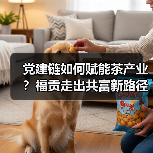 党建链如何赋能茶产业?福贡走出共富新路径(图4) 党建链如何赋能茶产业?福贡走出共富新路径(图4)