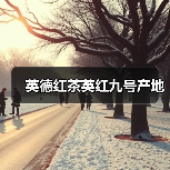 英德红茶英红九号产地（图3）