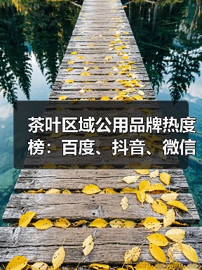 茶叶区域公用品牌热度榜：百度、抖音、微信平台差异分析（图2）