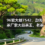 96紫大益7542，勐海茶厂紫大益茶王，老茶市场收藏宠儿（图4）
