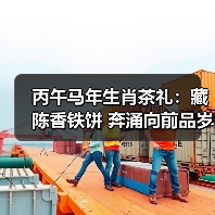 丙午马年生肖茶礼:藏陈香铁饼 奔涌向前品岁月(图4) 丙午马年生肖茶礼:藏陈香铁饼 奔涌向前品岁月(图4)
