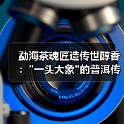 勐海茶魂匠造传世醇香: 勐海茶魂匠造传世醇香: