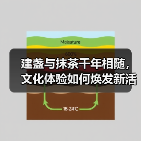 建盏与抹茶千年相随,文化体验如何焕发新活力?(图3) 建盏与抹茶千年相随,文化体验如何焕发新活力?(图3)