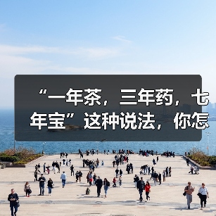 “一年茶,三年药,七年宝”这种说法,你怎么看?(图4) “一年茶,三年药,七年宝”这种说法,你怎么看?(图4)