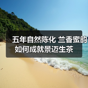 五年自然陈化 兰香蜜韵如何成就景迈生茶(图4) 五年自然陈化 兰香蜜韵如何成就景迈生茶(图4)