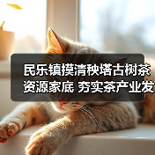 民乐镇摸清秧塔古树茶资源家底 夯实茶产业发展根基(图2) 民乐镇摸清秧塔古树茶资源家底 夯实茶产业发展根基(图2)