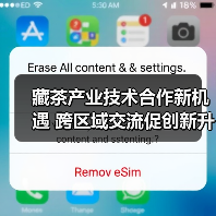 藏茶产业技术合作新机遇 跨区域交流促创新升级(图1) 藏茶产业技术合作新机遇 跨区域交流促创新升级(图1)