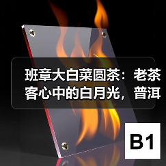 班章大白菜圆茶：老茶客心中的白月光，普洱茶界野性传奇（图3）