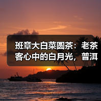 班章大白菜圆茶：老茶客心中的白月光，普洱茶界野性传奇（图4）