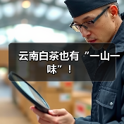 云南白茶也有“一山一味”！（图2）