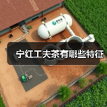 宁红工夫茶有哪些特征（图4）