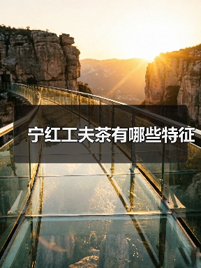 宁红工夫茶有哪些特征（图2）