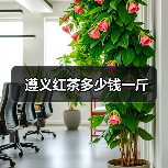 遵义红茶多少钱一斤（图3）