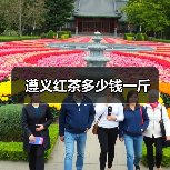 遵义红茶多少钱一斤（图2）