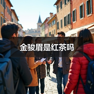金骏眉是红茶吗(图1) 金骏眉是红茶吗(图1)