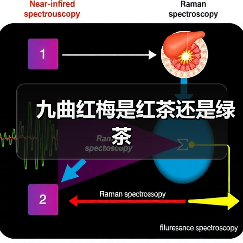 九曲红梅是红茶还是绿茶(图1) 九曲红梅是红茶还是绿茶(图1)