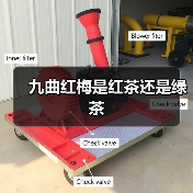 九曲红梅是红茶还是绿茶(图3) 九曲红梅是红茶还是绿茶(图3)