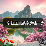 宁红工夫茶多少钱一盒(图3) 宁红工夫茶多少钱一盒(图3)