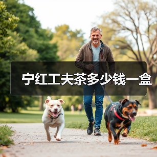 宁红工夫茶多少钱一盒(图1) 宁红工夫茶多少钱一盒(图1)