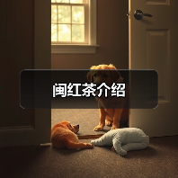 闽红茶介绍(图2) 闽红茶介绍(图2)