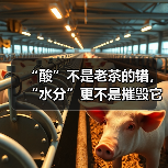 “酸”不是老茶的错,“水分”更不是摧毁它的猛兽!(图3) “酸”不是老茶的错,“水分”更不是摧毁它的猛兽!(图3)