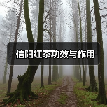 信阳红茶功效与作用(图1) 信阳红茶功效与作用(图1)