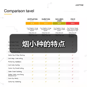 烟小种的特点(图2) 烟小种的特点(图2)