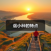 烟小种的特点(图1) 烟小种的特点(图1)