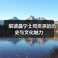 解读昌宁土司贡茶的历史与文化魅力(图3) 解读昌宁土司贡茶的历史与文化魅力(图3)