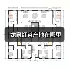 龙泉红茶产地在哪里(图4) 龙泉红茶产地在哪里(图4)