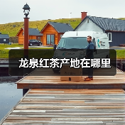 龙泉红茶产地在哪里(图3) 龙泉红茶产地在哪里(图3)