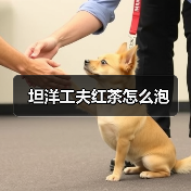坦洋工夫红茶怎么泡(图4) 坦洋工夫红茶怎么泡(图4)
