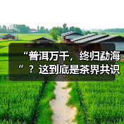 “普洱万千,终归勐海”?这到底是茶界共识还是营销话术?(图1) “普洱万千,终归勐海”?这到底是茶界共识还是营销话术?(图1)
