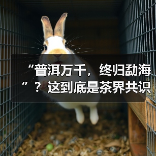 “普洱万千,终归勐海”?这到底是茶界共识还是营销话术?(图4) “普洱万千,终归勐海”?这到底是茶界共识还是营销话术?(图4)