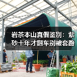 岩茶本山真假鉴别：紫砂十年才翻车别被套路（图4）