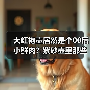 大红袍壶居然是个00后小鲜肉?紫砂壶里那些连老玩家都被忽悠的坑(图1) 大红袍壶居然是个00后小鲜肉?紫砂壶里那些连老玩家都被忽悠的坑(图1)