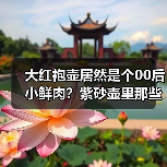 大红袍壶居然是个00后小鲜肉?紫砂壶里那些连老玩家都被忽悠的坑(图2) 大红袍壶居然是个00后小鲜肉?紫砂壶里那些连老玩家都被忽悠的坑(图2)
