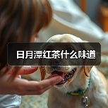 日月潭红茶什么味道（图4）
