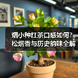 烟小种红茶口感如何?松烟香与历史韵味全解析(图1) 烟小种红茶口感如何?松烟香与历史韵味全解析(图1)