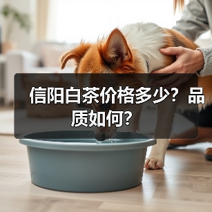 信阳白茶价格多少?品质如何?(图4) 信阳白茶价格多少?品质如何?(图4)